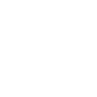 Neo Automotive