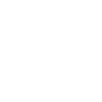 Neo Automotive
